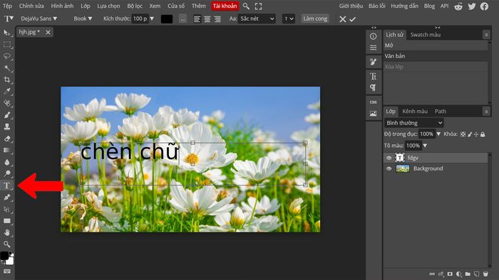 Hướng dẫn chèn văn bản vào ảnh trên máy tính bằng Photopea