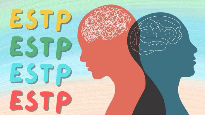 ESTP có phải là nhóm tính cách hiếm gặp?