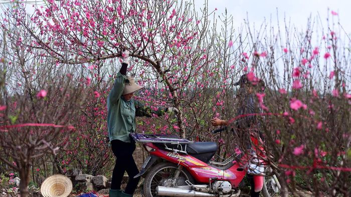 Những công việc cần thực hiện trước khi đón giao thừa là gì?
