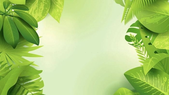 hình nền PowerPoint 3D chủ đề thiên nhiên đơn giản