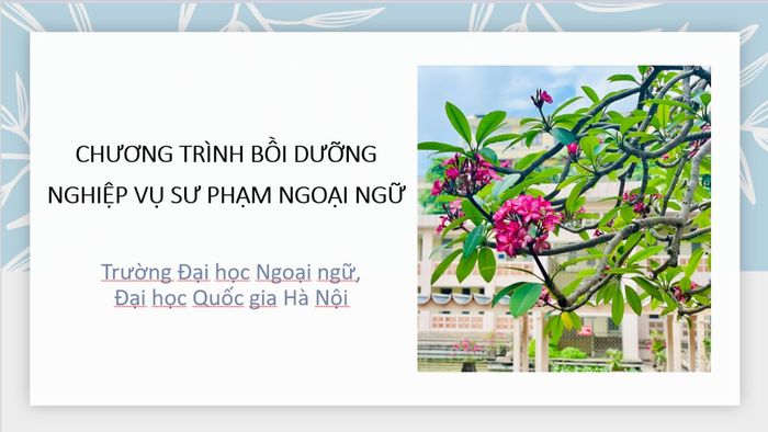 Chương trình Đào tạo Bồi dưỡng Nghiệp vụ sư phạm