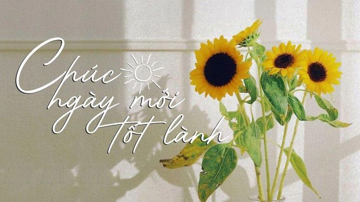Lời chúc đầu tuần đầy cảm hứng và động lực