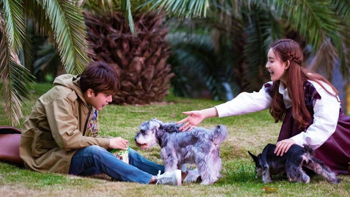 Phim của Mạnh Tử Nghĩa luôn thu hút sự chú ý nhờ vào kịch bản hấp dẫn và diễn xuất xuất sắc.