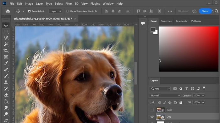 Những lợi thế khi thêm khung viền cho hình ảnh bằng Photoshop