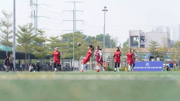 Extracurricular activities and student life