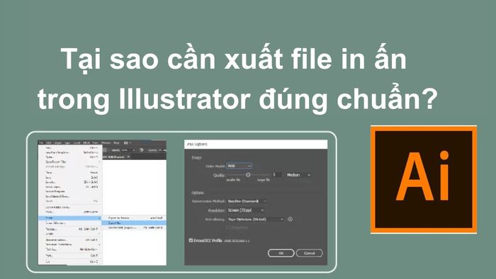 Vì sao phải tuân thủ chuẩn xuất file in ấn từ Illustrator?