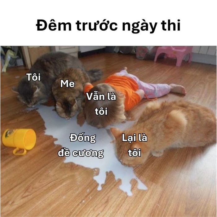 Bộ sưu tập meme tiếp thêm năng lượng tích cực trước kỳ thi
