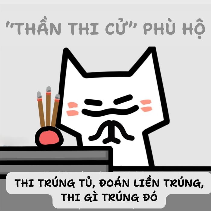 Tuyển tập meme mang lại may mắn cho kỳ thi quan trọng