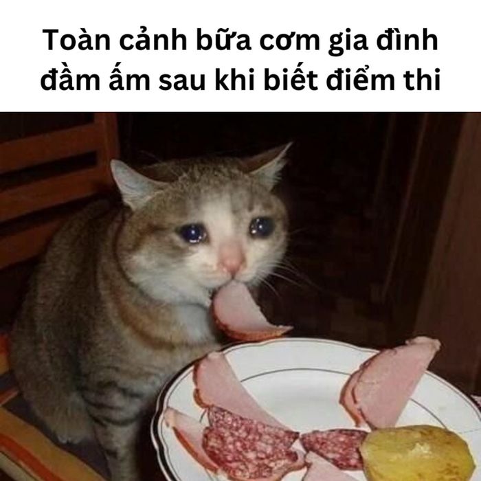 Những tấm ảnh chế đúng chất học trò mùa thi