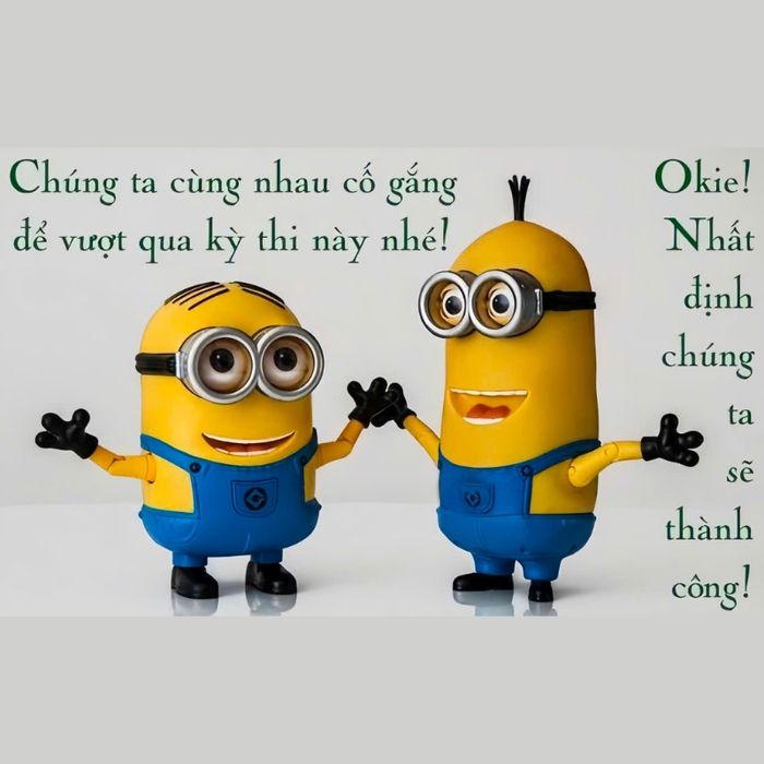 Bộ sưu tập meme chúc thi vui nhộn nhất mạng xã hội