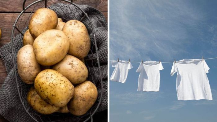 Sử dụng khoai tây