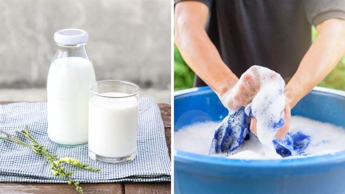 Sử dụng sữa bò