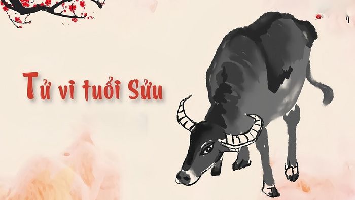 Tổng quan về tử vi của người tuổi Sửu trong năm 2024