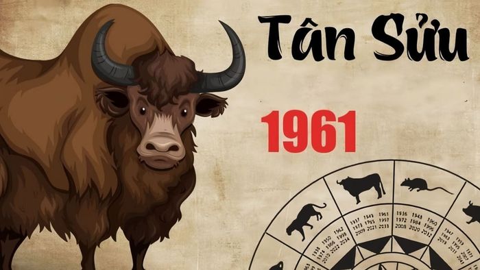 Dự đoán tử vi cho người tuổi Tân Sửu sinh năm 1961