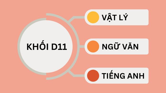 Khối D11 bao gồm những môn học nào?