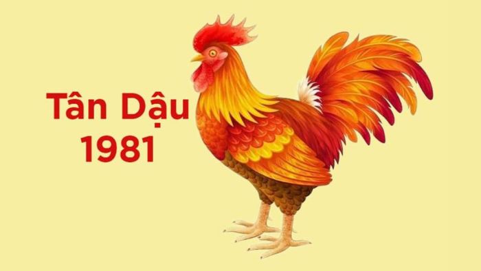 Tử vi tuổi Tân Dậu năm 1981