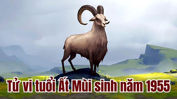 Tử vi tuổi Ất Mùi sinh năm 1955