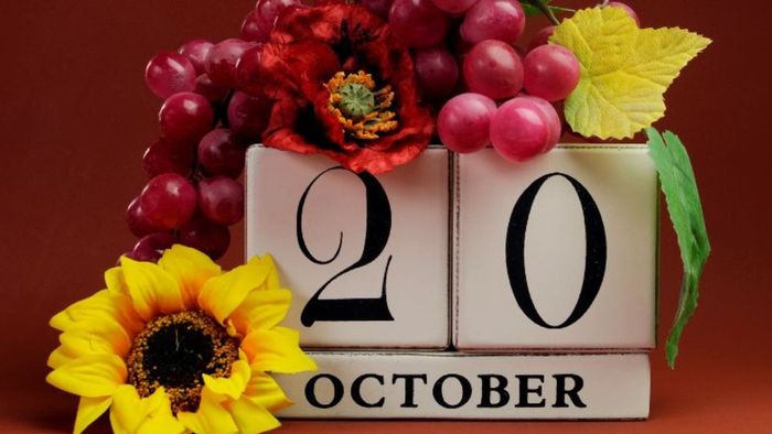 Lời chúc 20/10 cho crush ngắn gọn và đơn giản