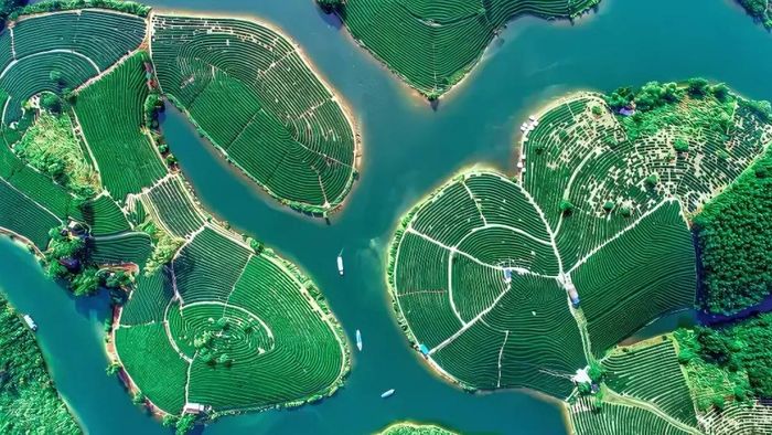 Nghệ An nằm ở miền nào của Việt Nam?