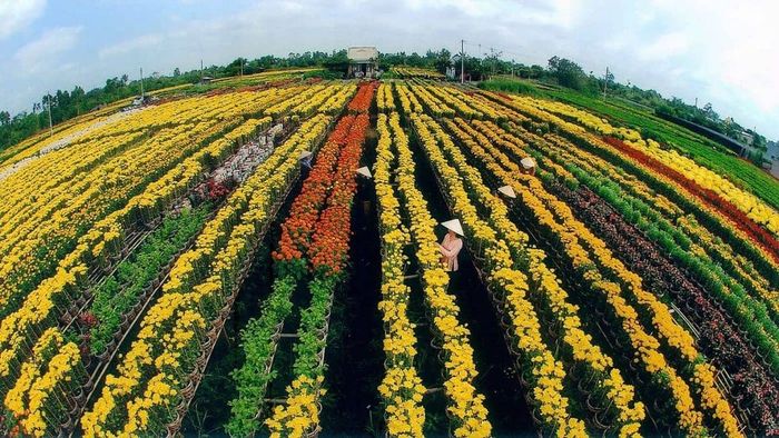 Những bức ảnh đẹp về Đồng Tháp, mang lại những cảm nhận tuyệt vời về vùng đất này