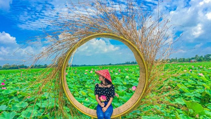 Những bức ảnh đẹp về Đồng Tháp, nơi mà thiên nhiên tươi đẹp luôn hấp dẫn mọi du khách đến khám phá