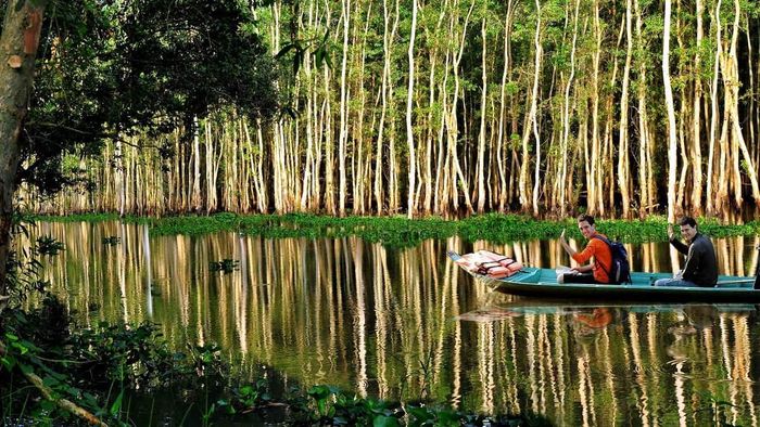 Những bức ảnh đẹp về Đồng Tháp phản ánh vẻ đẹp hoang sơ và bình dị của vùng đất này, từ những cánh đồng sen bát ngát đến những khu rừng nguyên sinh huyền bí.