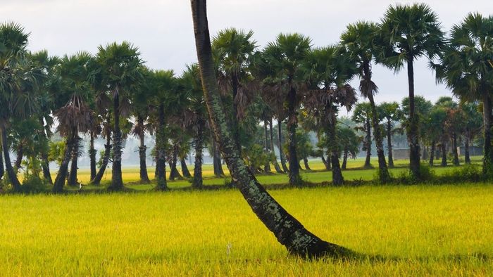 Hình ảnh phong cảnh hùng vĩ và đầy ấn tượng của An Giang