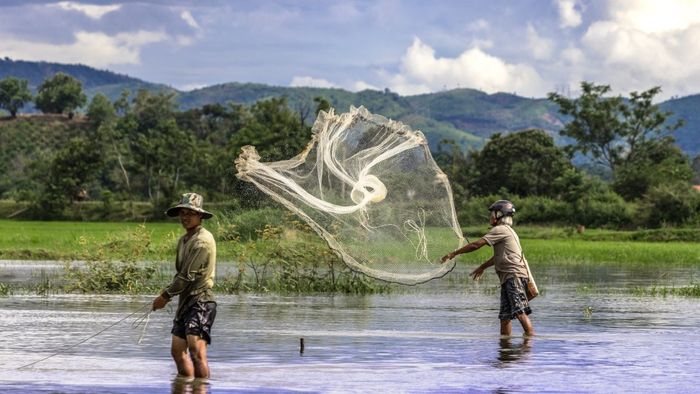 Những bức ảnh đẹp về người lao động cần cù tại An Giang
