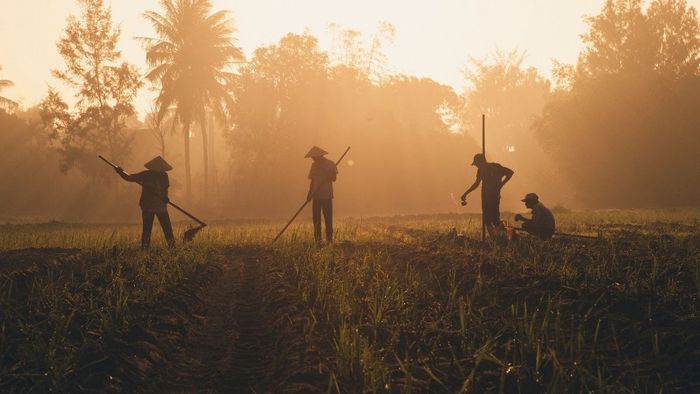 Hình ảnh người lao động chân chất và đầy nghị lực của An Giang