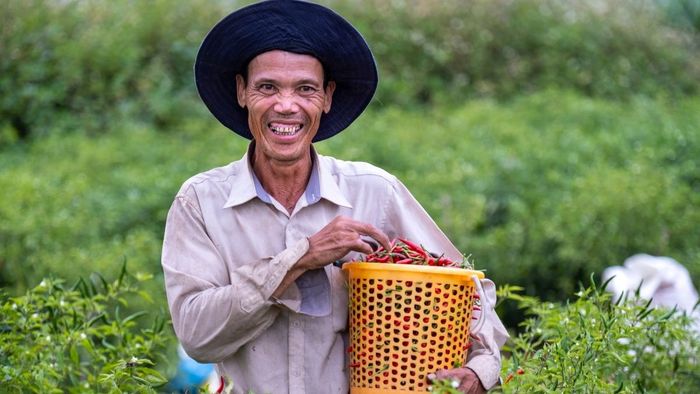 Những bức ảnh đẹp về người lao động cần cù tại An Giang
