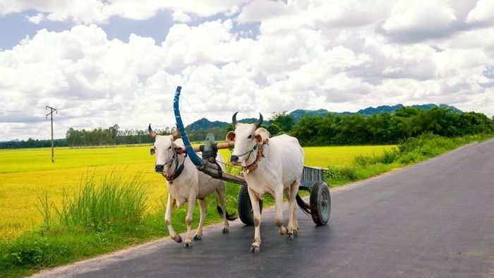Khoảnh khắc đẹp về An Giang