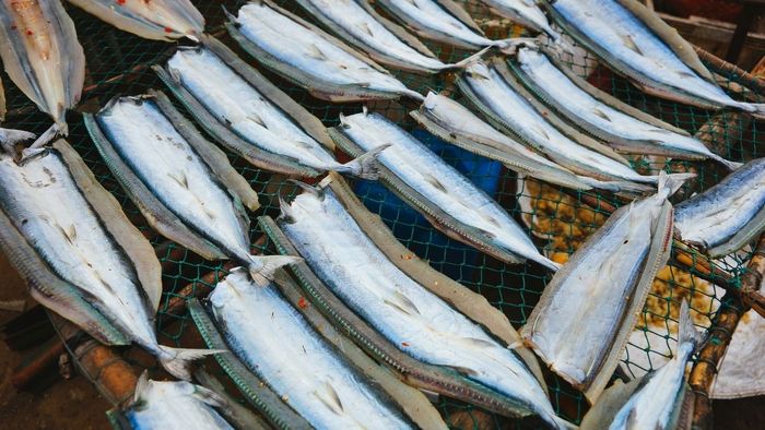 Khoảnh khắc đẹp về An Giang