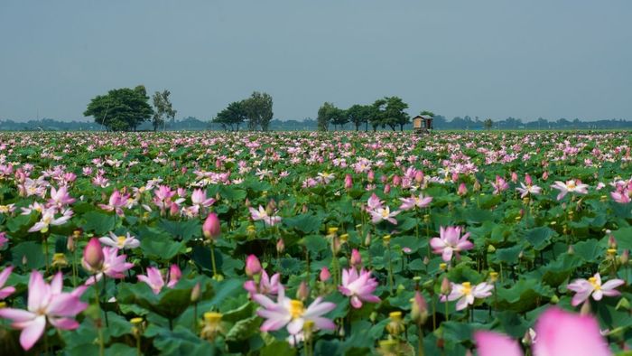 Các điểm du lịch nổi tiếng tại An Giang