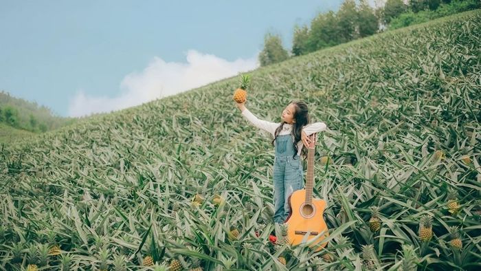 Khám phá những địa điểm chụp ảnh đẹp tuyệt vời tại Bắc Giang.