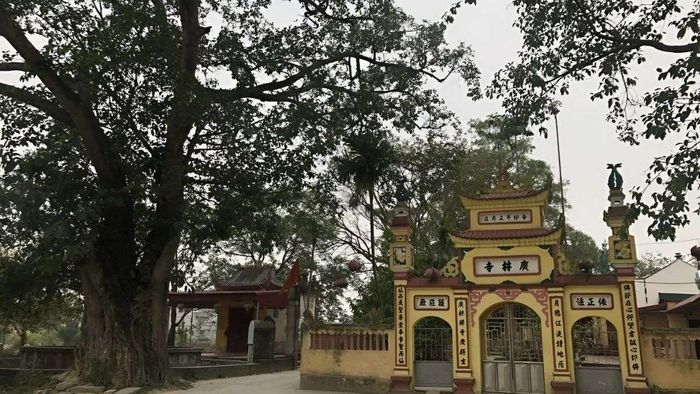 Khám phá các địa điểm chụp ảnh tuyệt đẹp tại Bắc Giang, nơi bạn có thể ghi lại những khoảnh khắc ấn tượng.