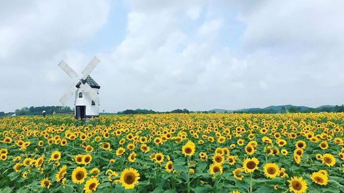 Bắc Giang nổi tiếng với những địa điểm chụp ảnh đẹp, rất thích hợp cho những ai yêu thích khám phá và lưu giữ những khoảnh khắc đáng nhớ.
