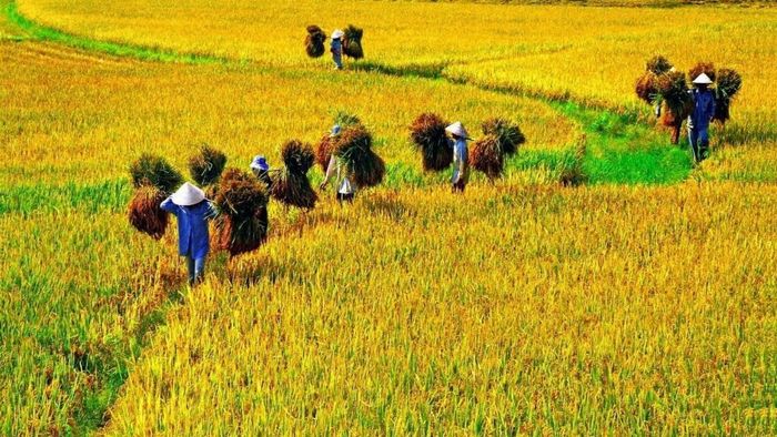Vẻ đẹp lao động của con người Bắc Ninh