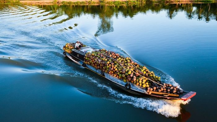 Những hình ảnh tuyệt đẹp về quê hương Bến Tre