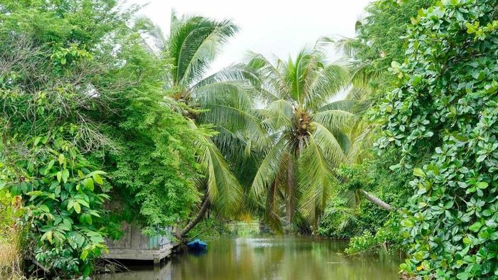 Những hình ảnh tuyệt đẹp về quê hương Bến Tre