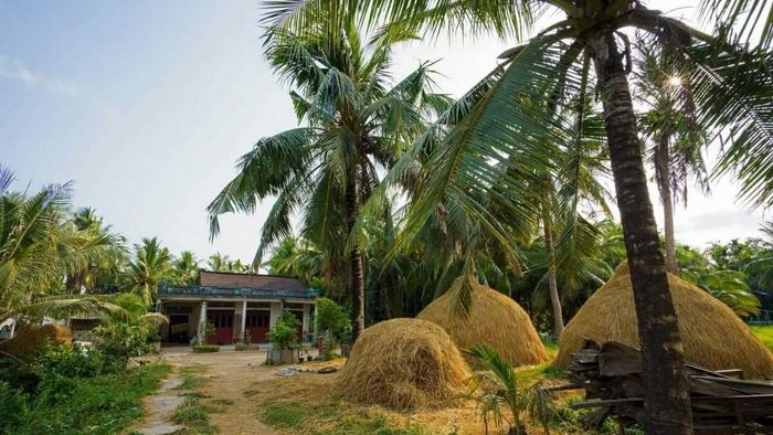 Khung cảnh đẹp của vùng đất Bến Tre