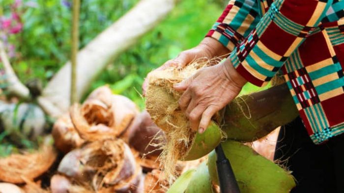 Những hình ảnh tuyệt đẹp về quê hương Bến Tre