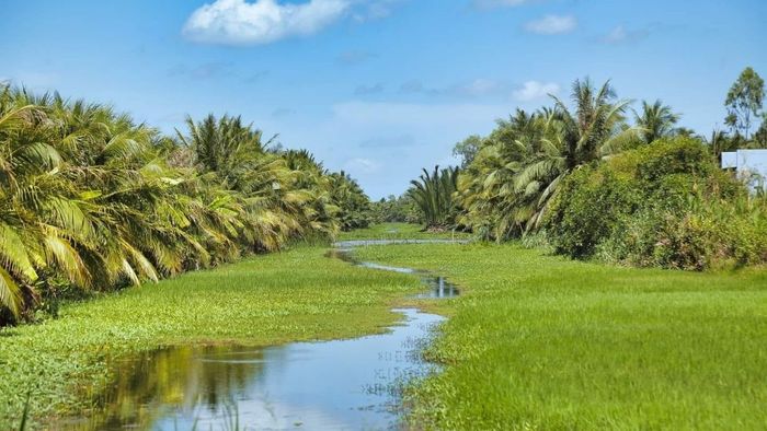Hình ảnh thiên nhiên đẹp của Bến Tre
