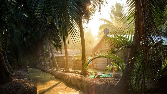Những bức ảnh đẹp về thiên nhiên Bến Tre