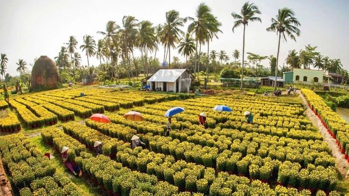 Hình ảnh thiên nhiên tuyệt đẹp của Bến Tre
