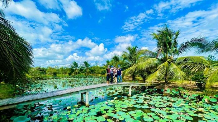 Những hình ảnh đẹp về thiên nhiên Bến Tre