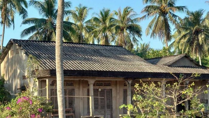 Những bức ảnh đẹp về cây dừa Bến Tre