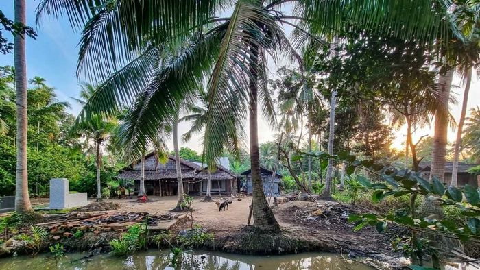 Hình ảnh tuyệt đẹp về cây dừa Bến Tre
