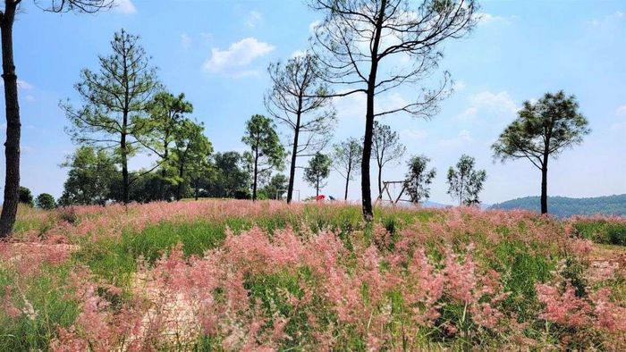 Những hình ảnh đẹp về Hải Dương