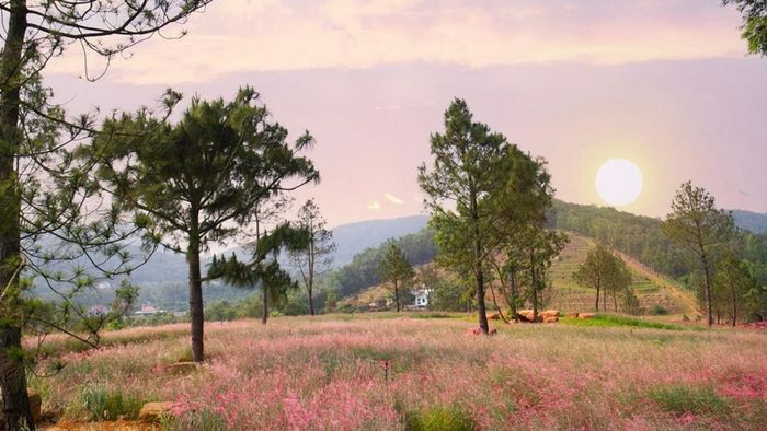 Hình ảnh tuyệt đẹp của Hải Dương