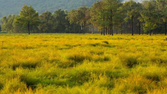 Những bức ảnh đẹp về Hải Dương